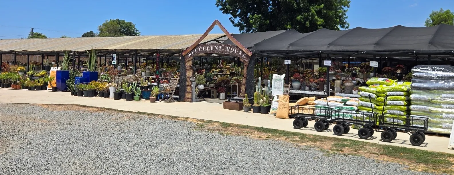 Storefront entrance and nursery grounds at Shuna Succulent House